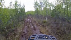 Стелс Гепард 650 2.0 сток проверка в болоте на прочность.