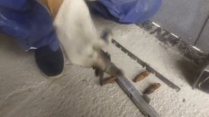 Volvo XC90. Как почистить форсунки