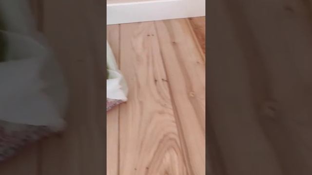 Масло для террас Alpina смотреть онлайн