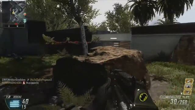 IT RANT: Java Induced Rage - 21-0 TDM Black Ops 2 Gameplay on Raid смотреть онлайн