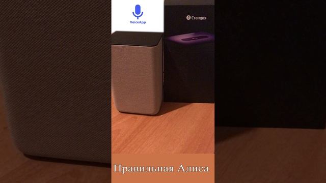 Что подарила Яндекс Алиса на 23-е февраля? #shorts смотреть онлайн