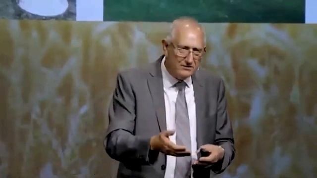 Конфликт и Триумф Часть - 3 - Вальтер Вайс смотреть онлайн