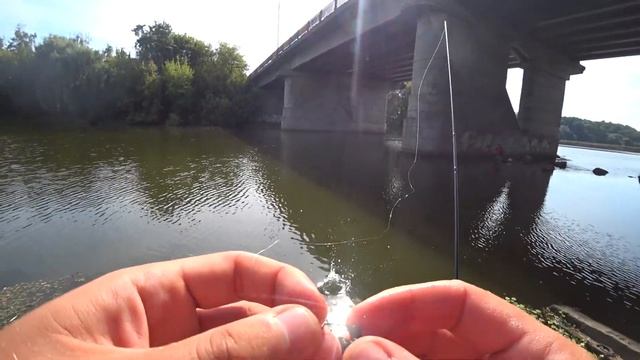 Street fishing in Zhytomyr. Риболовля в Житомирі. смотреть онлайн
