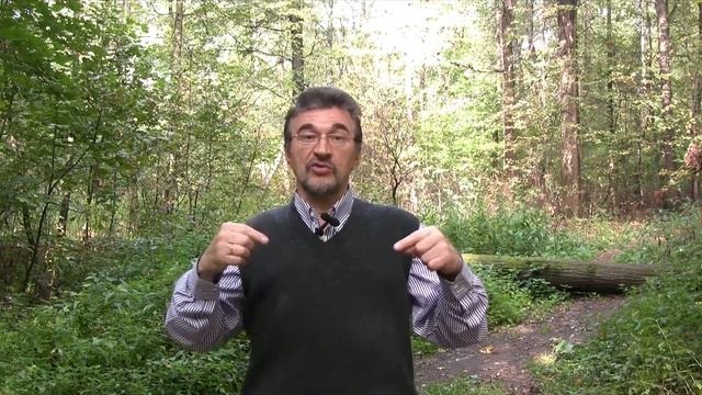 Грамматические различия русского и английского языков. Глаголы смотреть онлайн