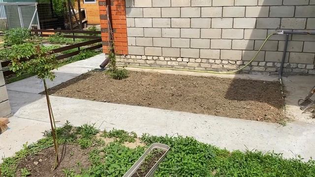 не спит ПАПА спокойно увидев что МАСЯ делала смотреть онлайн