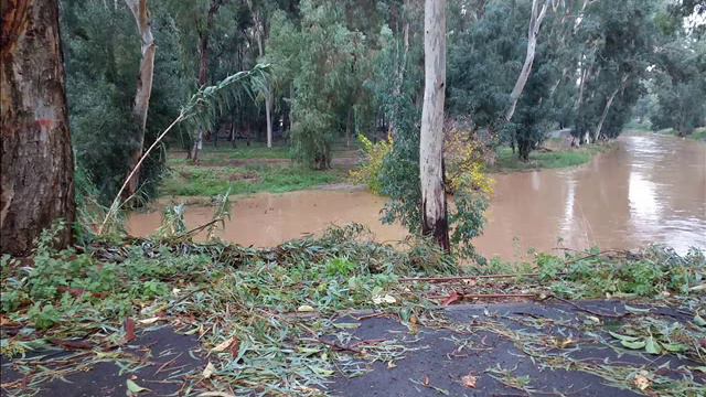 Можно ли прийти к духовному без осознания зла? смотреть онлайн
