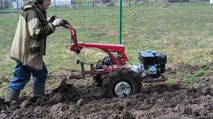 Вспашка мотоблоком мтз Weima 13 л.с.(4), весна 2023