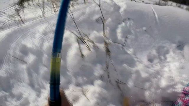 Всей семьёй на рыбалку! Ловим золотую рыбку!!! смотреть онлайн