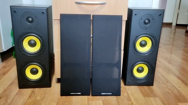 Колонки Thonet & Vander Hoch ⚡70 watt???? смотреть онлайн