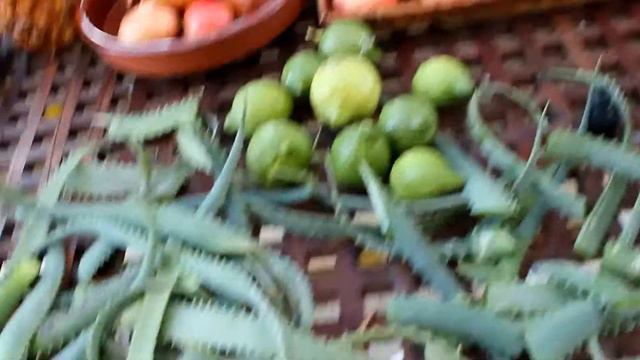 Алоэ (Aloe Vera) как ингридиент. Самый правильный -это когда СВОЙ! смотреть онлайн