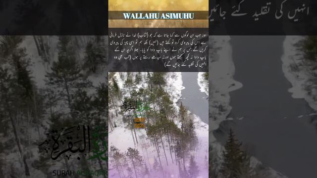 Surah Al-Baqarah (2/170-171) سورة البقرة || #wallahuasimuhu #foryou #viral #short #ramdan смотреть онлайн