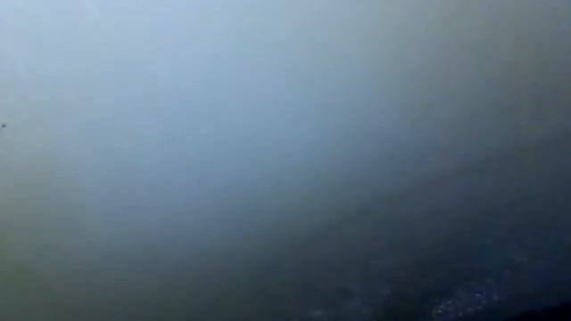 Эндоскопия Мерседес S63 AMG пробег 50 тыс км 4 цилиндр смотреть онлайн