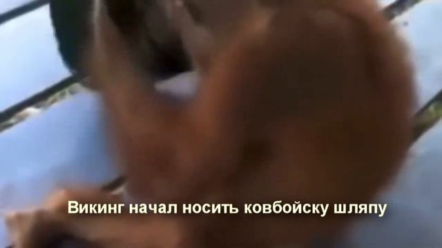 Обычный день свободы смотреть онлайн