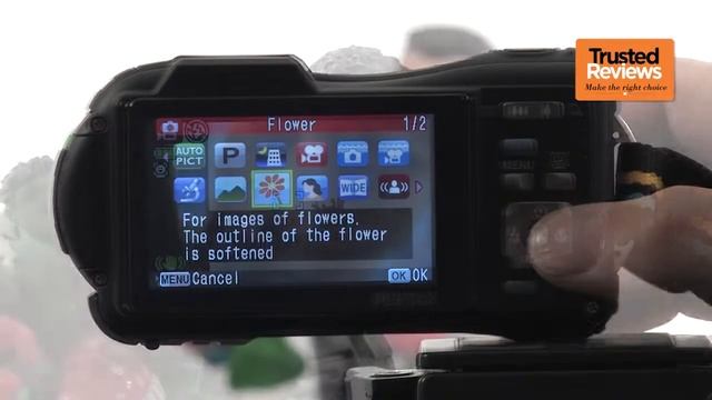 Pentax WG смотреть онлайн