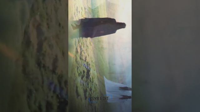 💔💔LOVE BETWEEN FAIRY AND DEVIL BROKEN EDIT💔 смотреть онлайн