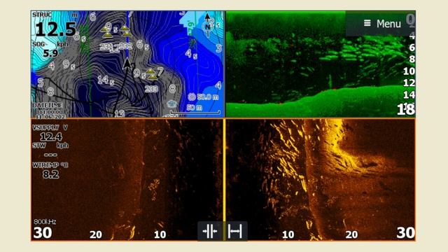 Увидишь ЭТО в эхолот - не пугайся! Толстолобик в Lowrance Elite 9 FS. смотреть онлайн