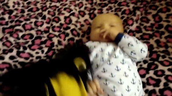 Сникерсы ...сникеры....уикерсы .......