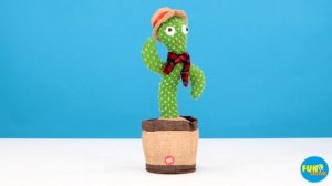 Обзор на ТАНЦУЮЩИЙ КАКТУС!