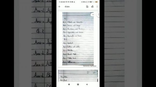 How to read binary files (.bin) in Android mobile