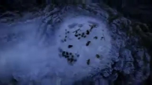 Джон Фокс. Книга мученников 13 глава. смотреть онлайн