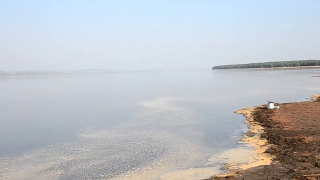 Ловля карася на Братском море смотреть онлайн