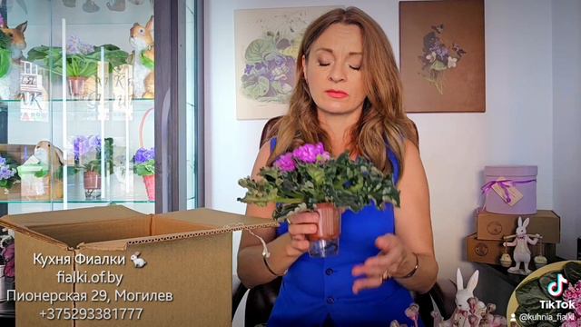 Меня зовут Татьяна Огородникова 😉. И я люблю 🤗 фиалки 🌸! Взрослые растения из нашей коллекции для смотреть онлайн