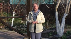 ЧЕМ ОБРАБОТАТЬ РОЗЫ ВЕСНОЙ ОТ БОЛЕЗНЕЙ И ВРЕДИТЕЛЕЙ