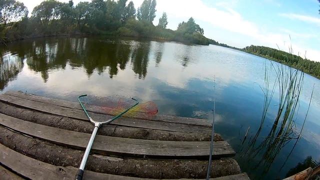 БЕЛАРУСЬ ПЛАТНАЯ РЫБАЛКА НА ФИДЕР смотреть онлайн