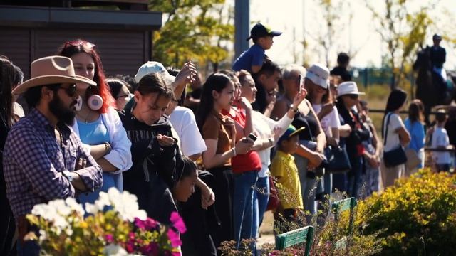 27-28 августа прошел чемпионат Карагандинской области по конкуру, в честь праздника «День Шахтера» смотреть онлайн