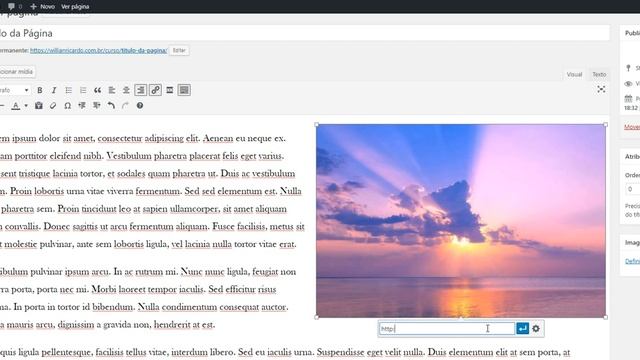 Como Editar Página no Wordpress - Curso Fácil смотреть онлайн