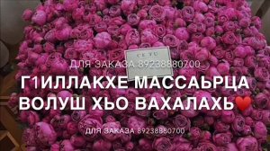 Дал декъал войла хьо са хьоме к1ант❤️
