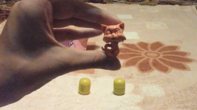 Кулинарные открытия с Евгенией