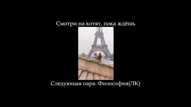 Математика(ЛК), Дискретная математика(ЛК), Философия(ЛК) 17.10.22 - запись пар смотреть онлайн