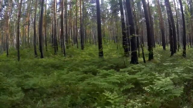 Туры на багги и квадроциклах с Quadro Center смотреть онлайн