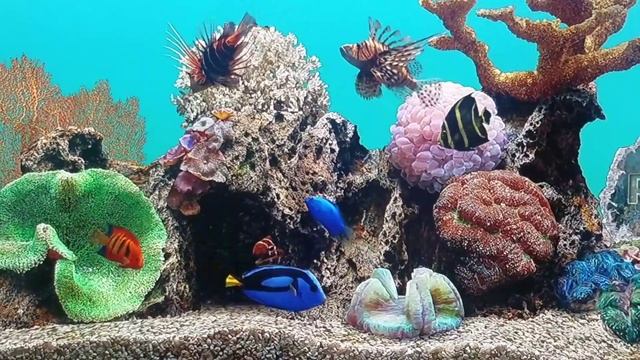 Aquarium SCREENSAVER Fullscreen- ROKU TV
