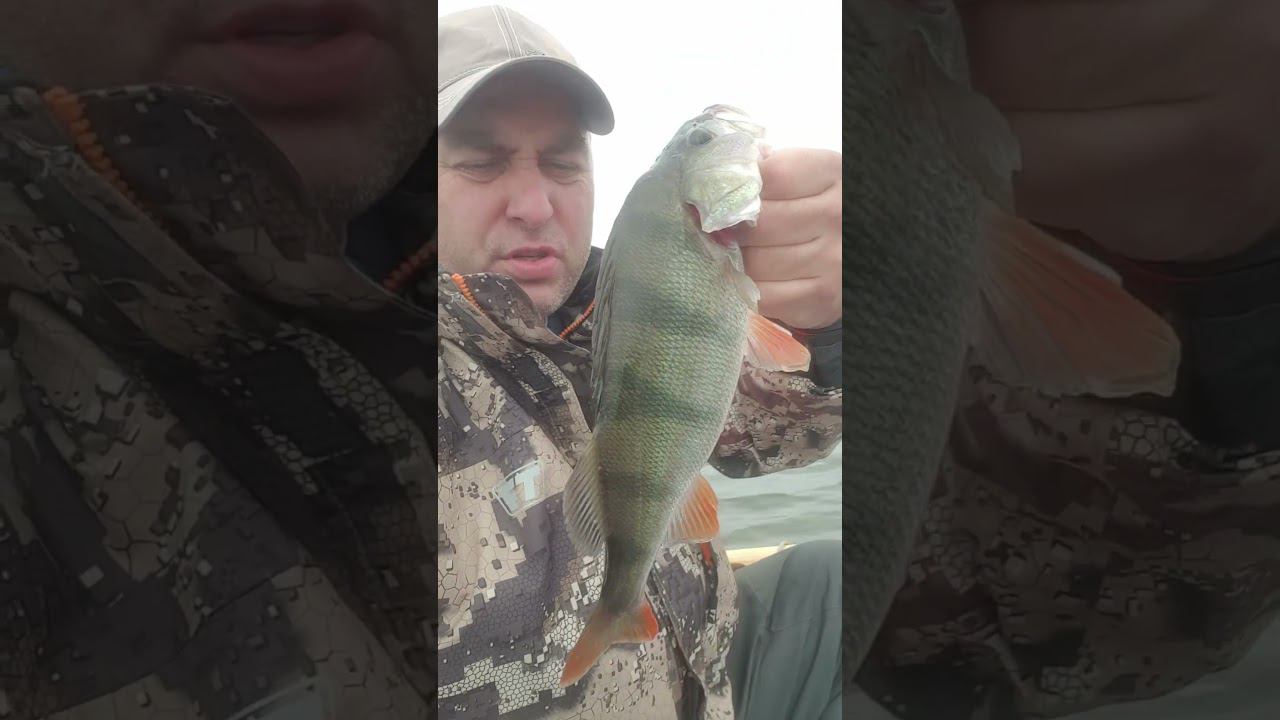 сегодня была раздача полкилошек смотреть онлайн