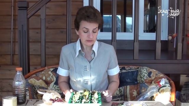Как выращивать колеус. Видеоканал Садовый мир смотреть онлайн