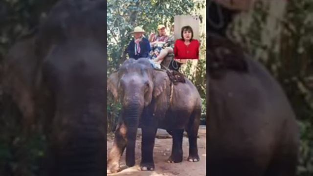 ТОПовая ПРОкачка!!! Прямой эфир с ТОП Лидером - Галиной Лесковой. смотреть онлайн