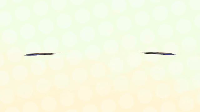 Kevin’s birthday смотреть онлайн