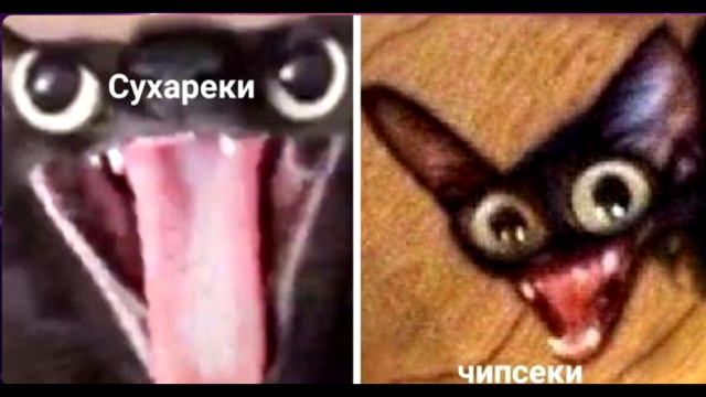 Кукурузные палочки смотреть онлайн