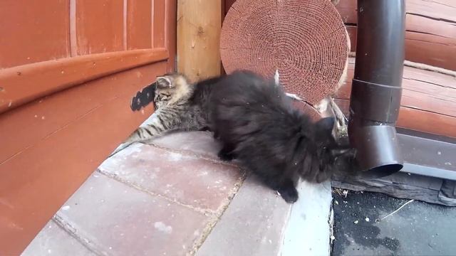 Ура! Каникулы! смотреть онлайн