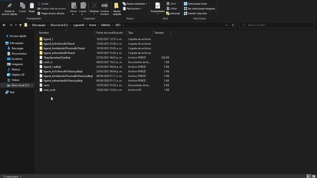 Virtual Screenig Docking: Autodock Vina en Windows 10 mediante script Bash y el programa Cygwin смотреть онлайн