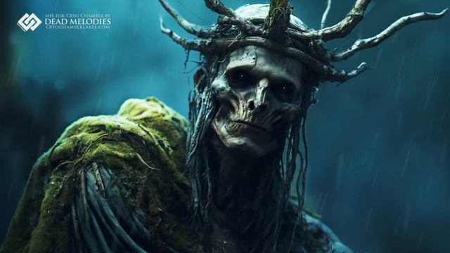The Druid King - PURE Dark Fantasy Ambient Music