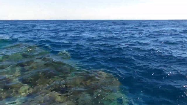 Пляж Пальма.От Отеля SHARM INN AMAREIN.обыск на входе.Египет, все включено.Зима 2020. смотреть онлайн