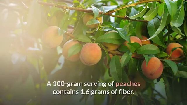 5 Best Fruits For Diabetes