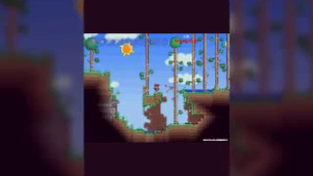 Картинки терария смотреть онлайн