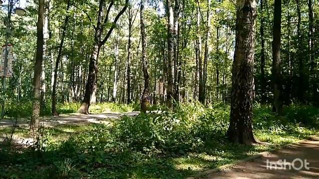 В парке Дубки... смотреть онлайн