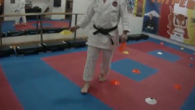 Negaturov. Karate training for children of 3- 4 years 13.03.24.part 3 смотреть онлайн