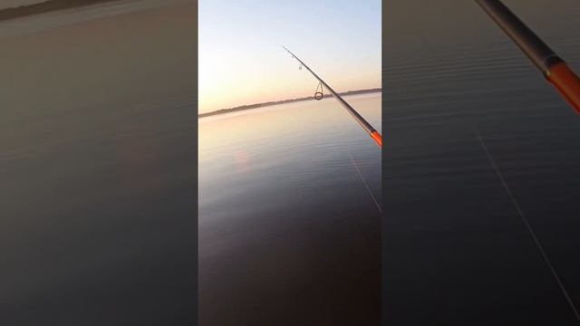 Рыбалка на Судака с берега в Пристанном смотреть онлайн