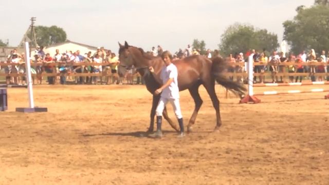 Чистокровная верховая смотреть онлайн